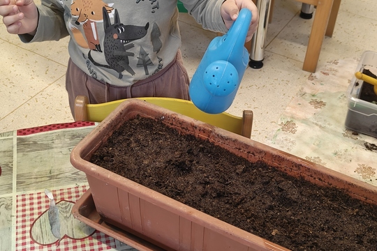 Bylinková radost v naší školce 1