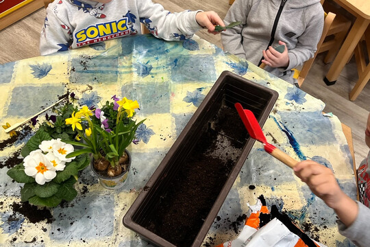 Kytičky z MŠ Kollárova - Jarní květiny 1