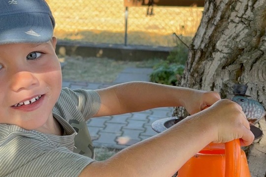 Zvířátka  1