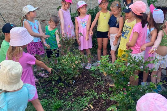 Společně na dálku: Domácí ovocná limonáda plná letních chutí 1
