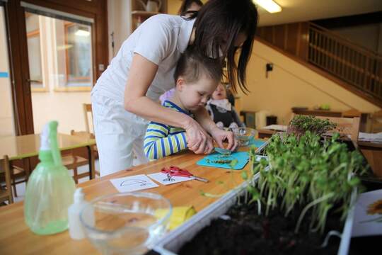 Pěstování microgreens ve stacionáři 1