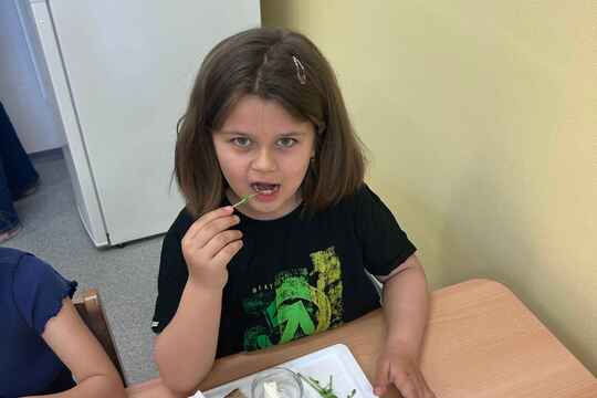 Klíčky hrášku ke zdraví 1