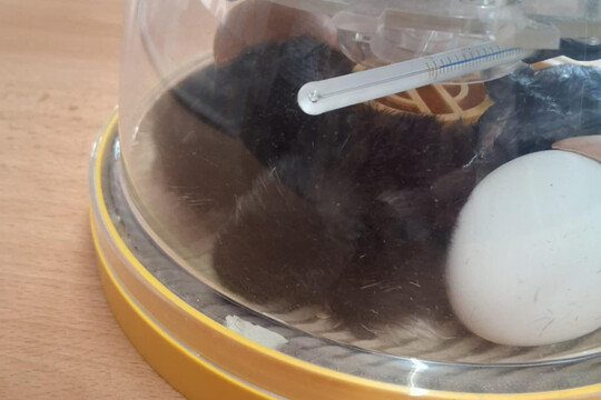 Co je u nás nového? 1