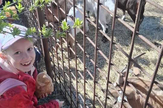 Výlet na Zlatou farmu  1