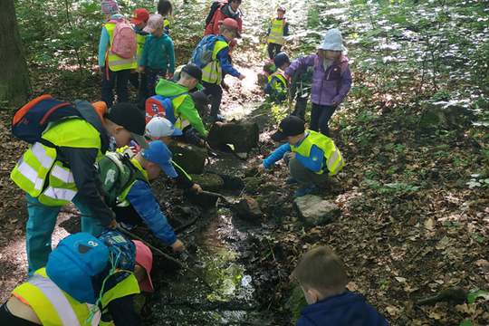 Studánky 1