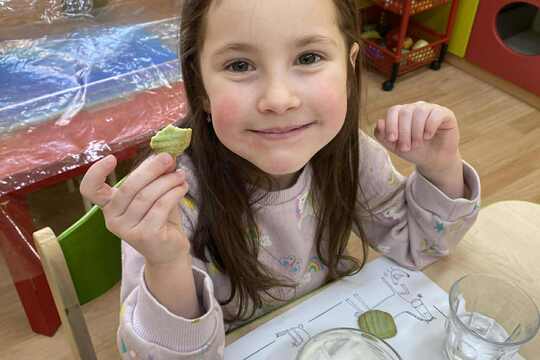 Berušek Ledové sušenky  1