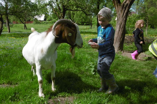 Na malinké rodinné farmě 1