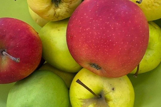 Co se v mládí naučíš …. 1