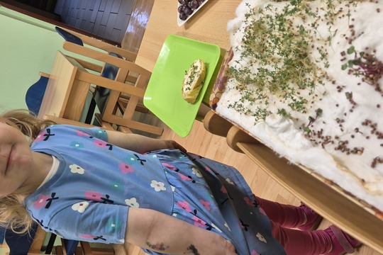 Microgreens u našich nejmenších 1