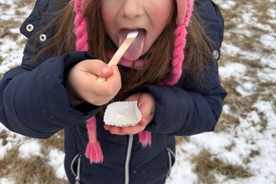 Výroba domácí zmrzliny  1