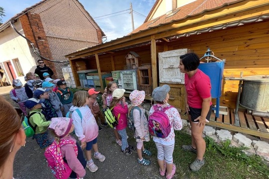 Včelařská farma - Doležalův med 1