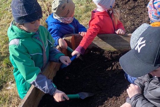 Sázení hrášku a cibule  1