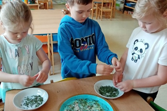 Není nad domácí koření 1