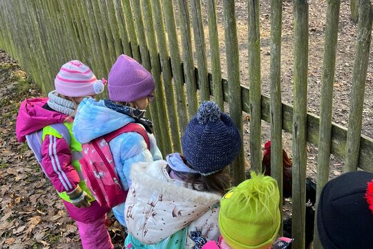 Vánoce na dědině Vánoce na dědině 1