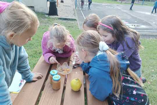 Světový den jídla Světový den jídla 1