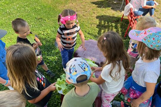 Náš malý zeleninový trh  1