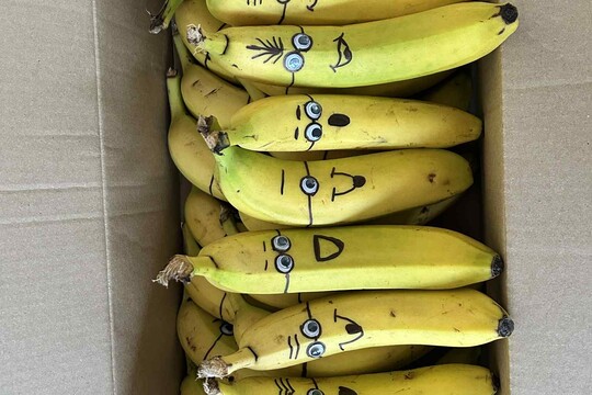 OSLAVY SVÁTKŮ A NAROZENIN PLNÉ VITAMÍNŮ OSLAVY SVÁTKŮ A NAROZENIN PLNÉ VITAMÍNŮ 1