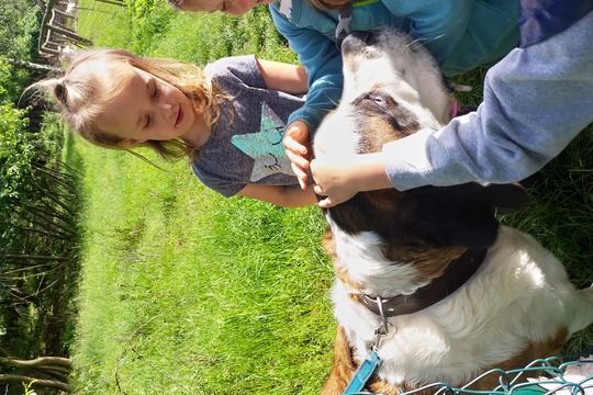 Výlet na farmu Drmaly 1