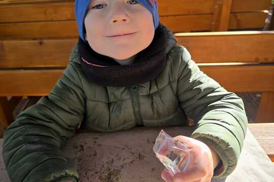 Sušíme bylinky - pokračování Sušíme bylinky - pokračování 1