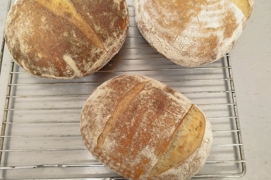 Kurz kvasového chlebu v Bistrotéce Valachy  1