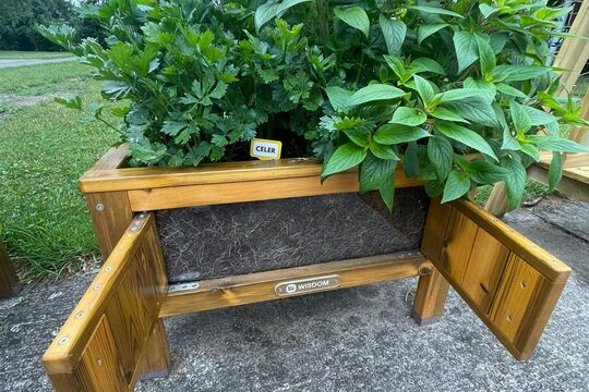 Slavnostní otevření naší "Jedlé školní zahrady" 1