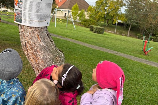 Rovnost a práce  1