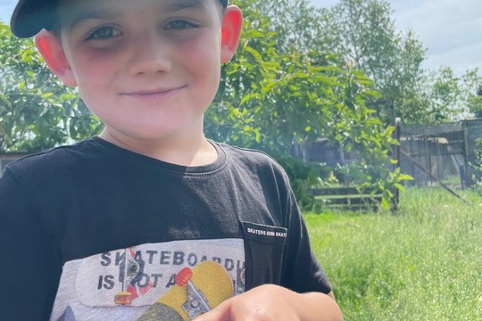 Farmář: kuřátka a kachňátka 1