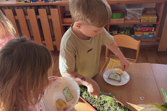 Svačinka s chutí jara Svačinka s chutí jara 1