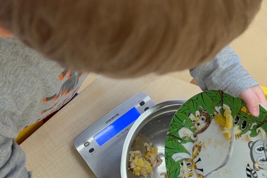 Monitoring zbytků 1