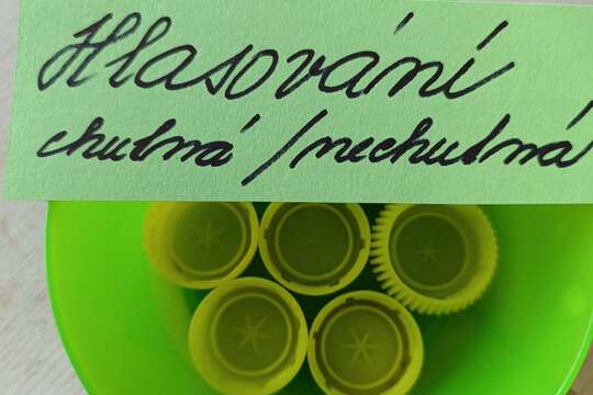  Anketa chutná -  nechutná 1