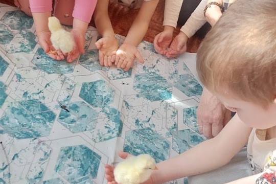 Líhneme ve školce 2 Líhneme ve školce 2 1