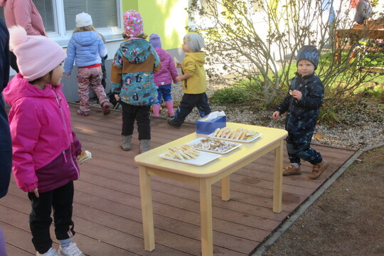 Úklid školní zahrady 1