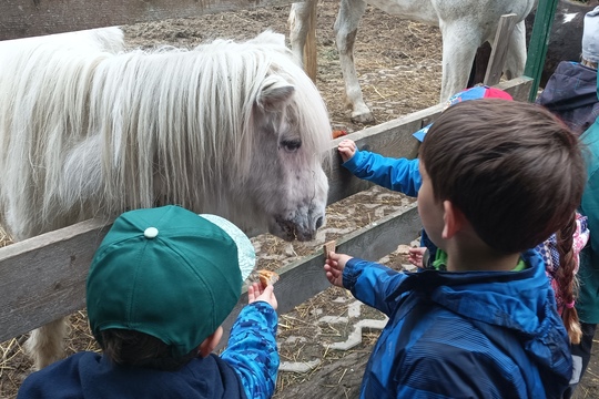 Farma s domácími zvířaty – Duběnka 1