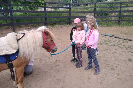 Návštěva farmy "Appaloosa". 1