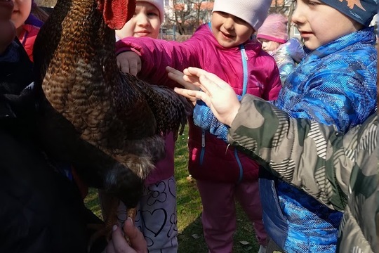 Líhneme ve školce 2 Líhneme ve školce 2 1