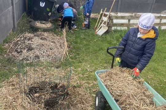 Když kompost ožívá 1