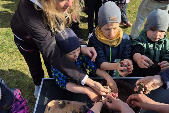 Zasaď dobro s kuřátkem  1