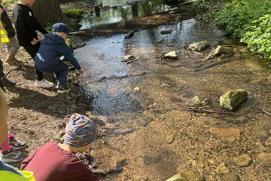 Pěší výlet k řece Dyji  1