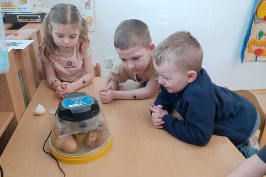 Od vajíčka ke kuřátku 1