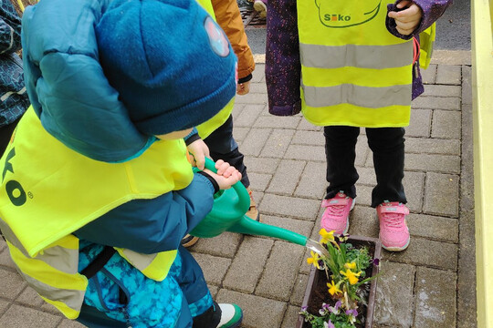 Kytičky z MŠ Kollárova - Jarní květiny 1
