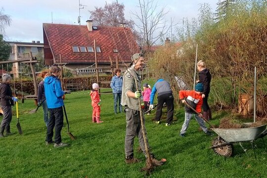 Jak jsme sázeli stromy a keře aneb Počátky jedlé zahrady v MŠ 28.října Turnov  1