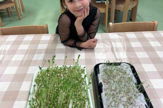 Klíčky hrášku ke zdraví 1