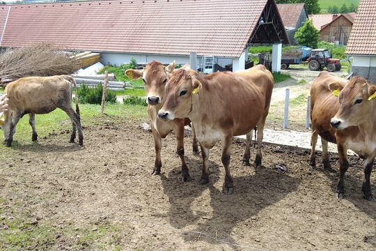 Exkurze žáků na farmě Vařejkův dvůr 1