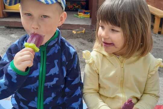 „Výroba domácí borůvkové zmrzliny“ 1