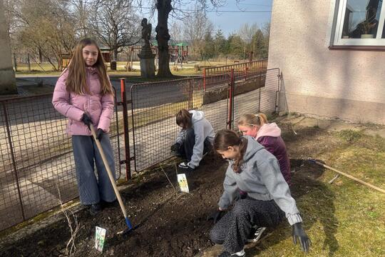 Zahrada se probouzí  1