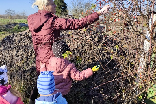 Sběrači šípků Sběrači šípků 1