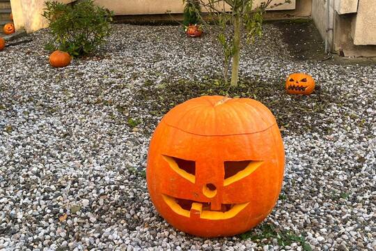 Dýňové slavnosti v Motýlku Dýňové slavnosti v Motýlku 1