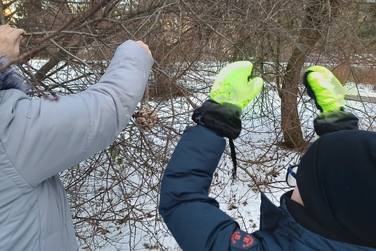 Ptačí hodinka Ptačí hodinka 1