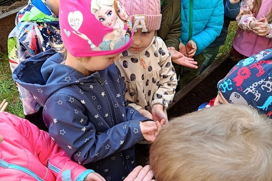 Motýlci jsou velcí zahradníci! 1