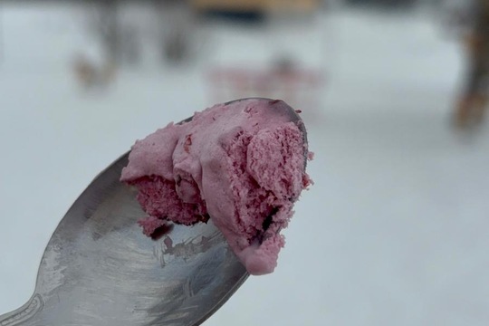 Sníh+ mráz + my = zmrzlina  1